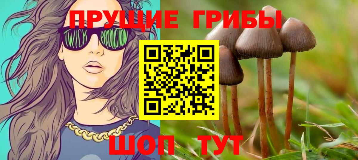 продажа наркотиков  Псилоцибиновые грибы Psilocybine cubensis  Вход с VPN  Псилоцибиновые грибы ЛСД  Гудермес 